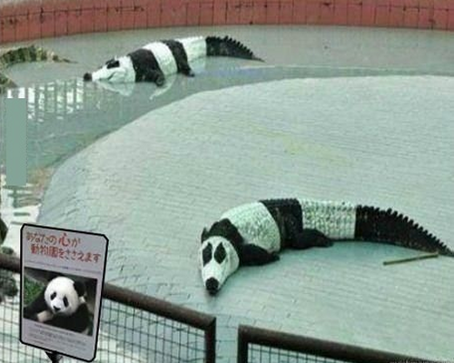 99 najfajniejszych rzeczy