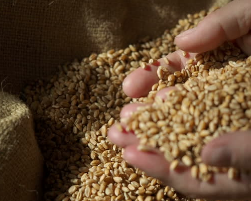 99 najfajniejszych rzeczy