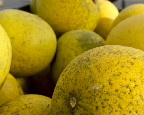 99 najfajniejszych rzeczy