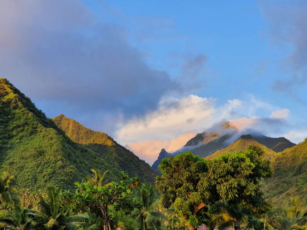 Jak Kurtek gringo szukał cienia na Tahiti